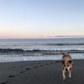 My Girl Daphne, A Light in the Sky 