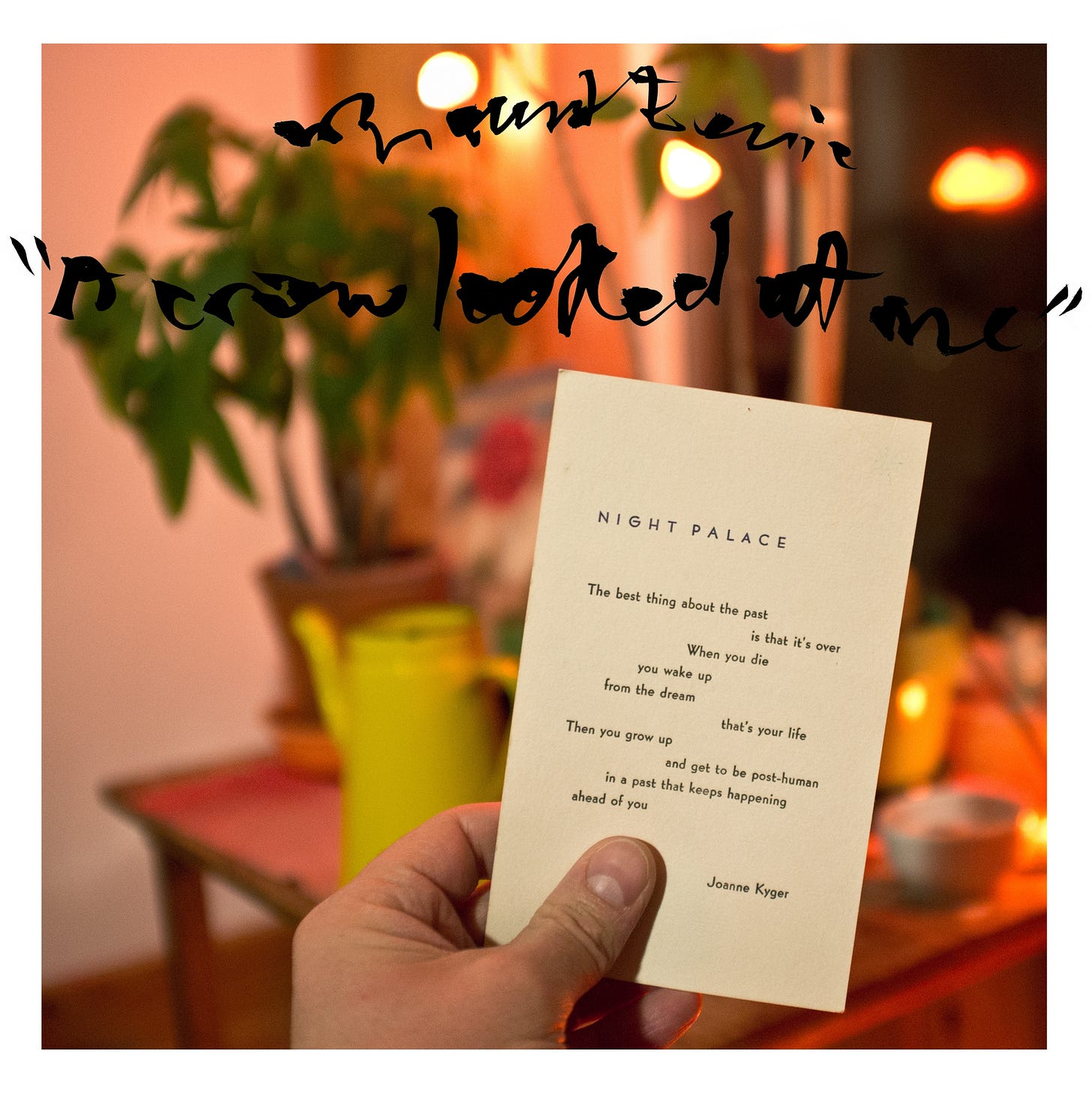 Review: Mount Eerie, 'A Crow Looked At Me' : NPR Review: Mount Eerie, 'A Crow Looked At Me' : NPR