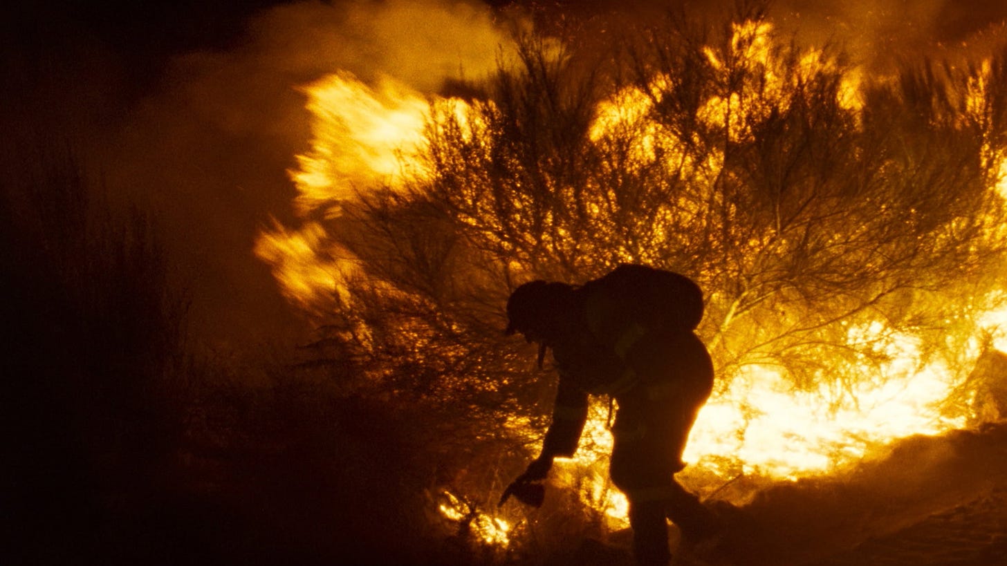 Fire Will Come | Still features a man in a shadow amidst a forest fire.