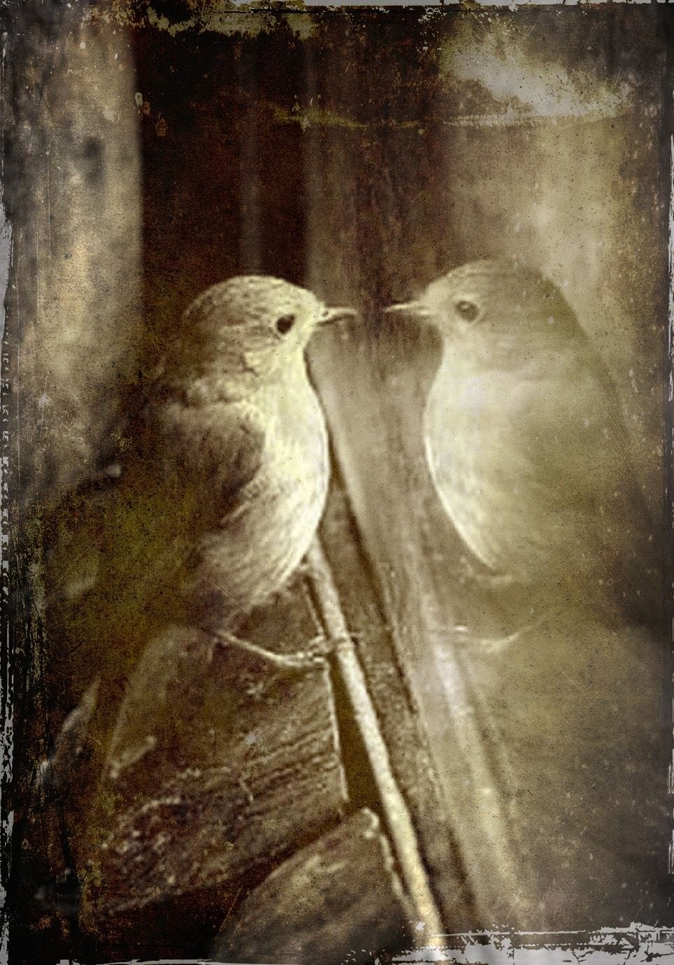 The Robins Were Singing This Morning