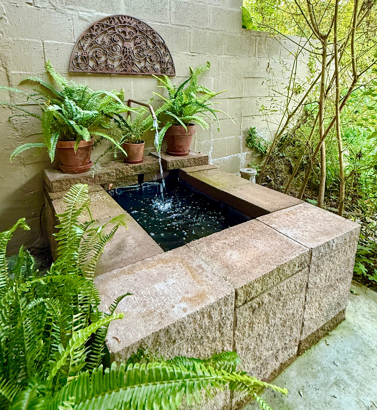 Our ferny Ruin Garden fountain with a new metal grate for accent.