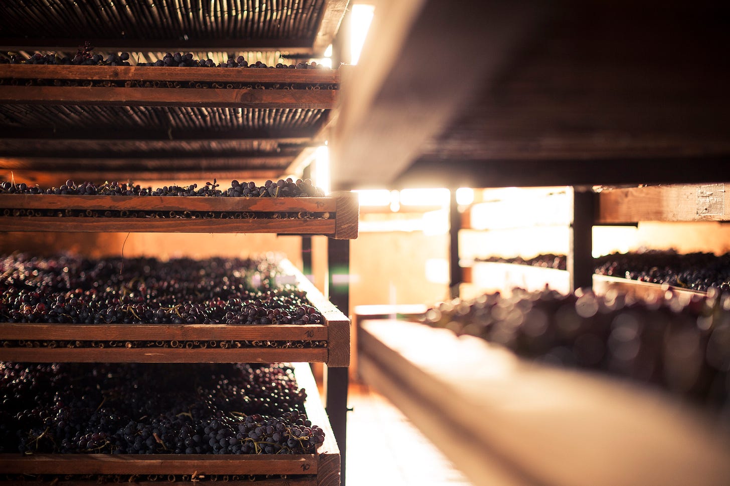 MARISA FINETTI | Raisin Wines of Italy