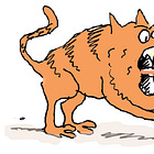 Can I help my child out of “Fight or Flight”?