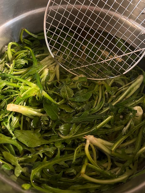 Stamnagathi Pickles