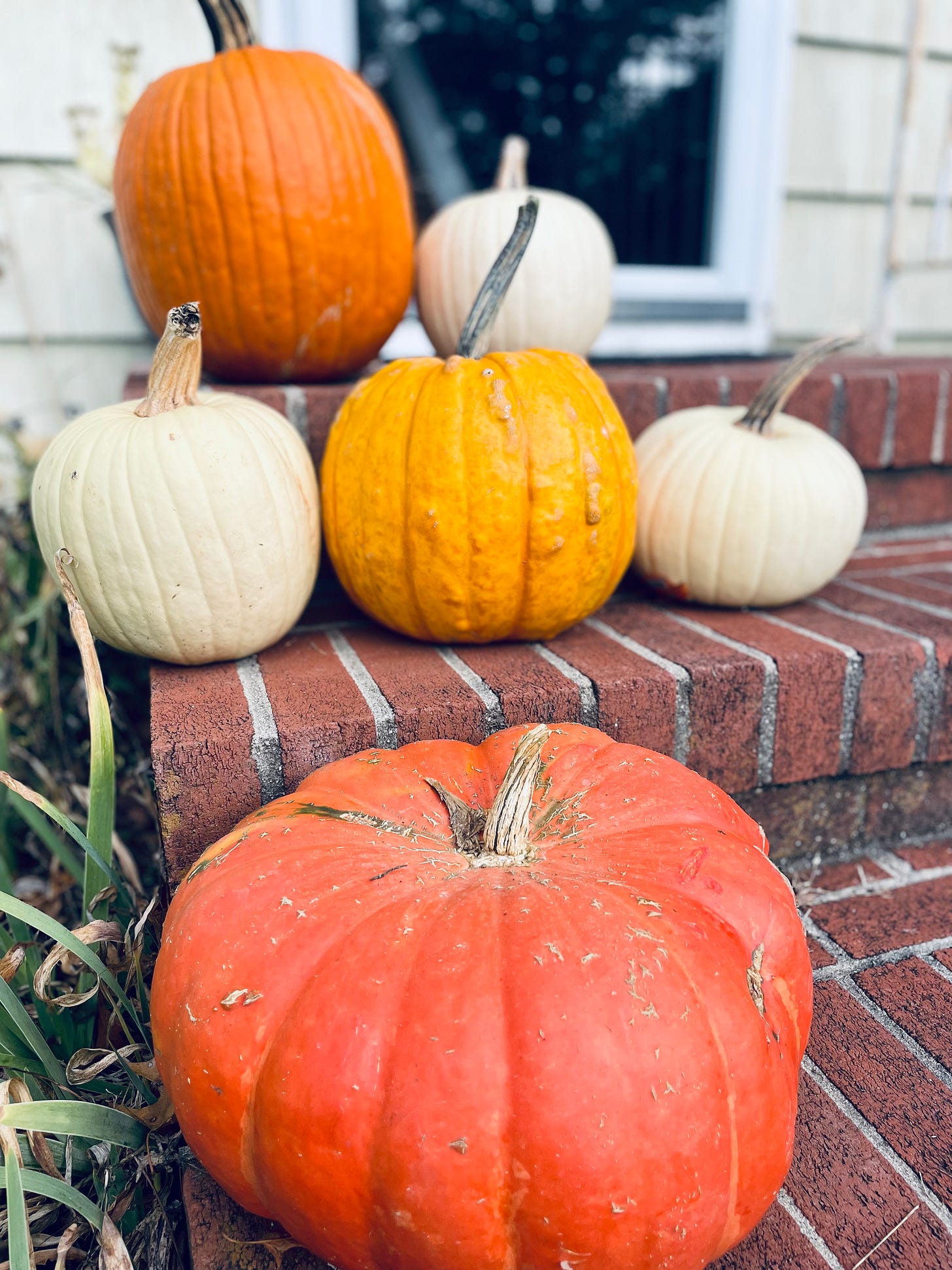 some white, yellow, and orange pumpkins on a brick stoop.