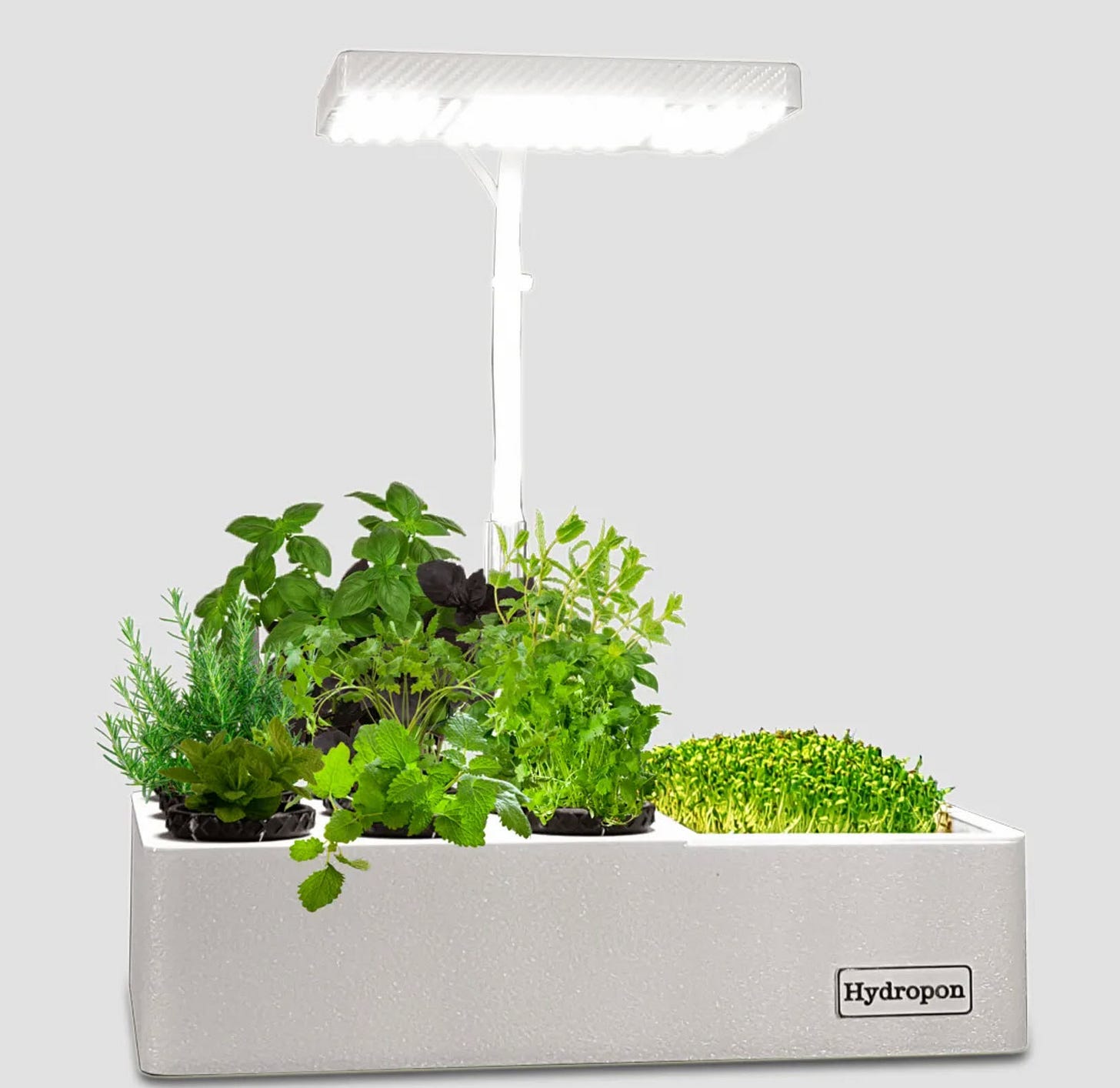 Hydroponik Aufzuchtstation mit Microgreens-Einsatz