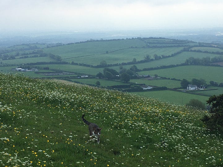 Croghan Hill