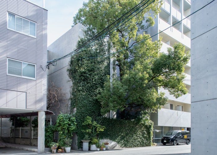Ando’s Osaka studio