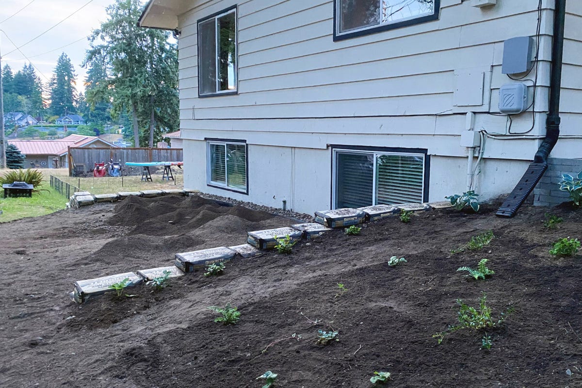 A terraced garden bed under construction on a hillside next to a house. Bags of concrete form the retaining walls, and small seedlings are newly planted in the dark earth. A terraced garden bed under construction on a hillside next to a house. Bags of concrete form the retaining walls, and small seedlings are newly planted in the dark earth.
