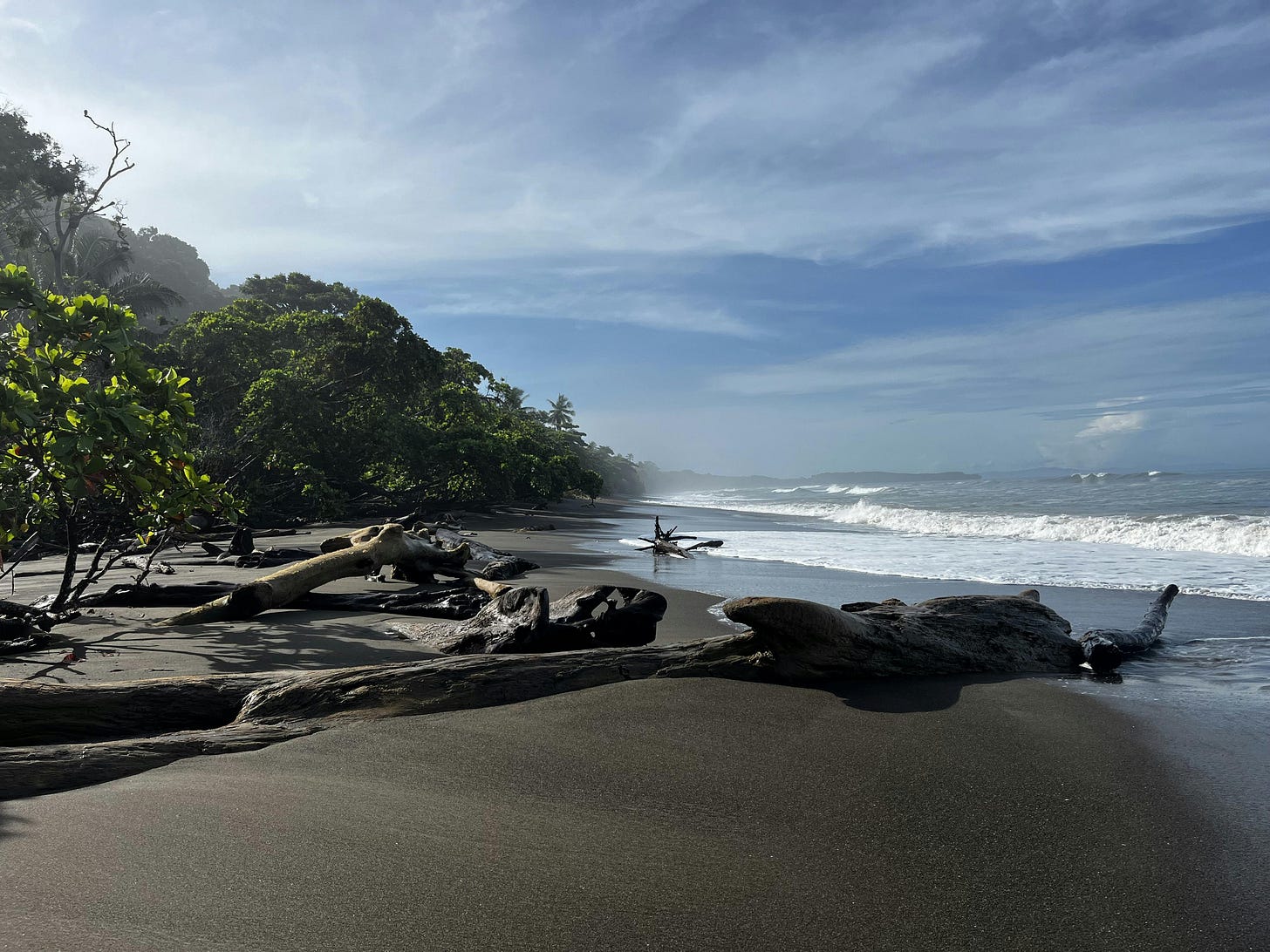 035: To Be, Or Not to Be... 035: To Be, Or Not to Be...