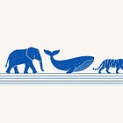 Mejor con los osos