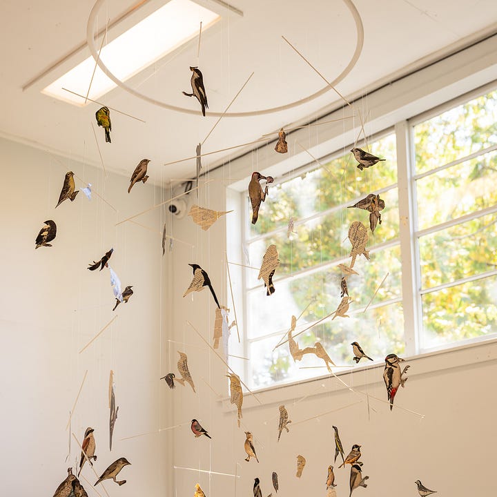 Art installation showing various creations and found objects: From left to right: 1) bird mobile made of cut-outs from ornithology books, 2) luminous globes showing migratory routes, 3) vintage birds books and a stuffed owl, 4) glass etching of a bird imprint. Photo: Brett Tryon