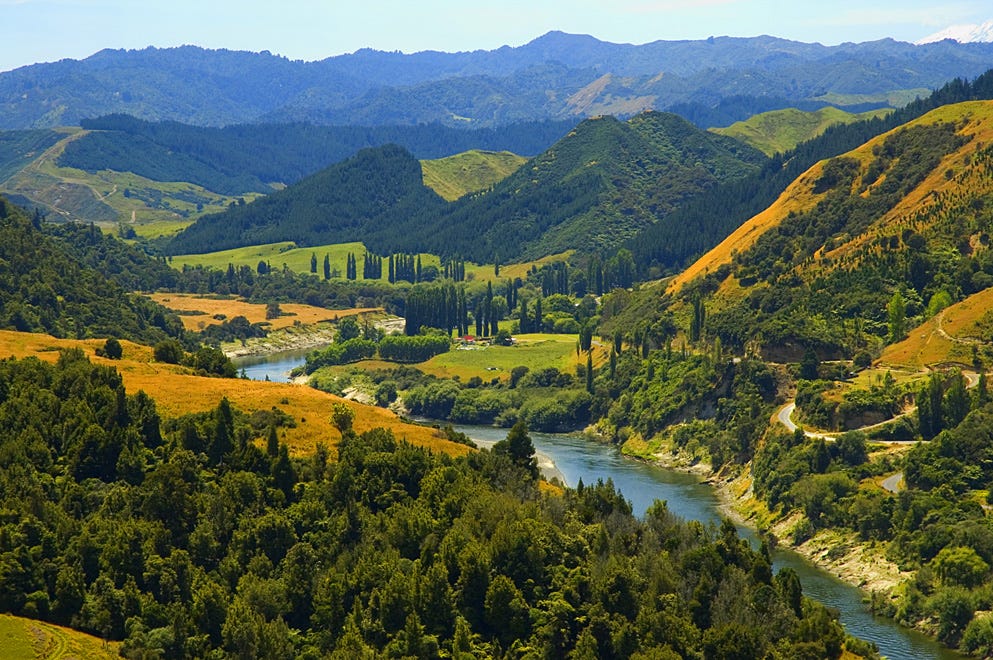 https://upload.wikimedia.org/wikipedia/commons/c/cb/Whanganui_River.jpg?utm_source=commons.wikimedia.org&utm_campaign=index&utm_content=original