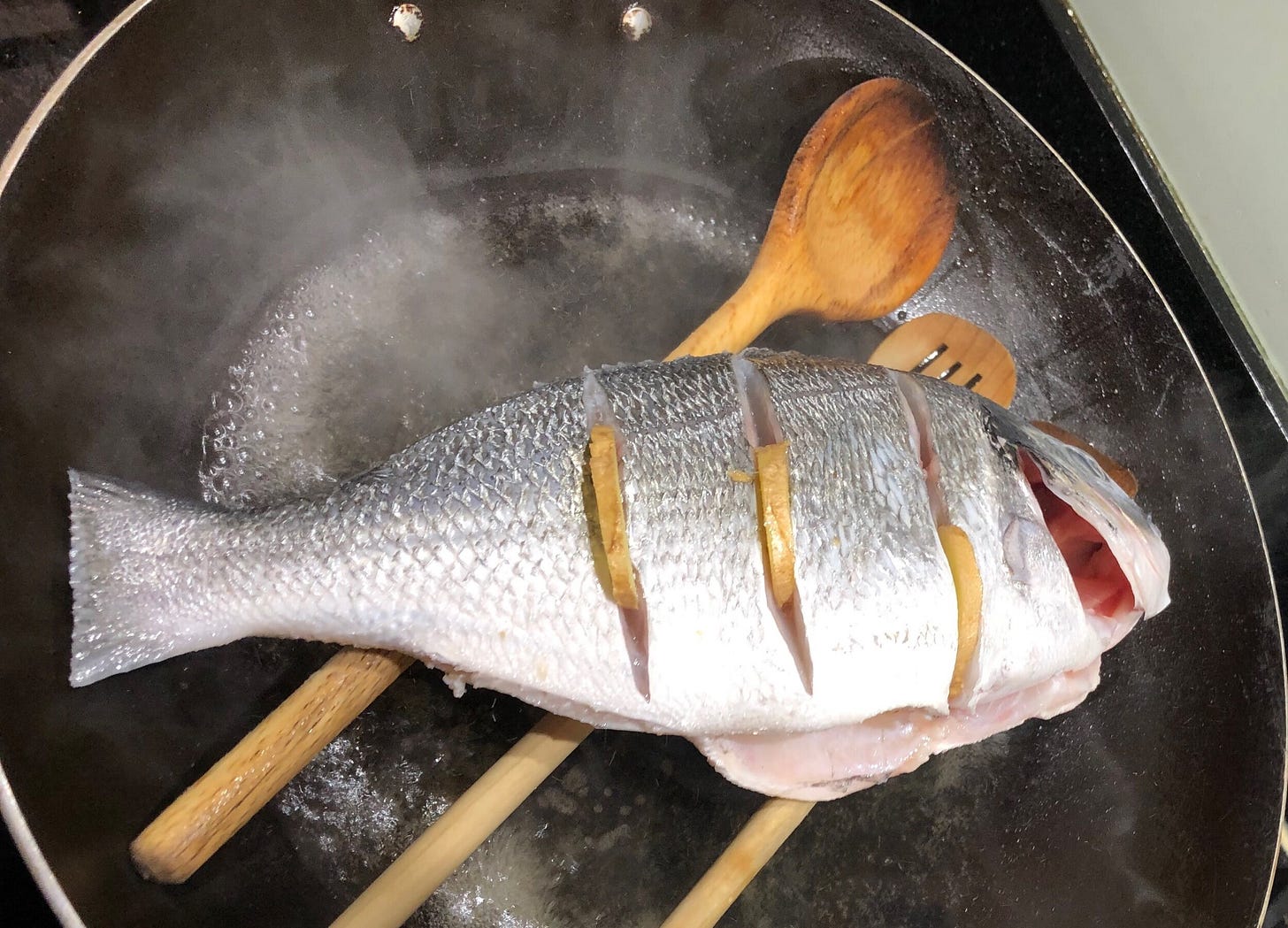 fish