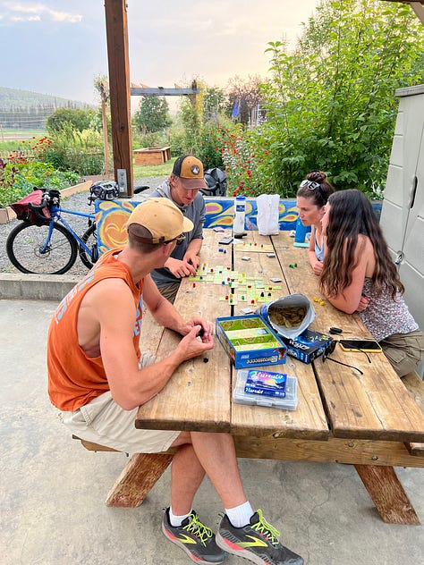 Assorted Year In Review