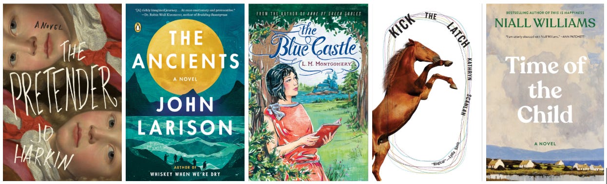 Visual display of book covers for literary fiction titles listed below - covers featuring a mix of photographic and illustrated imagery with varied color schemes including muted earth tones, vibrant teals and greens, and soft pastels, with both bold and elegant typography.