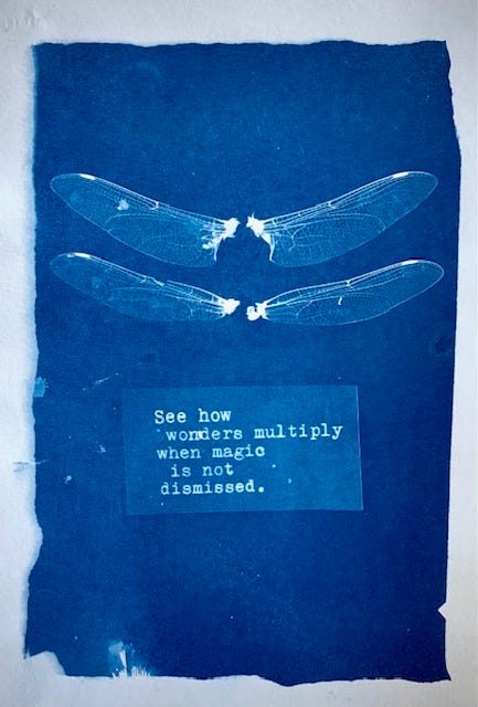 A blue cyanotype card has a set of dragonfly wings and the words "See how wonders multiply when magic is not dismissed."