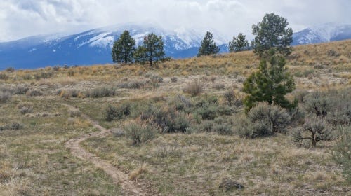 Bitterroot Valley