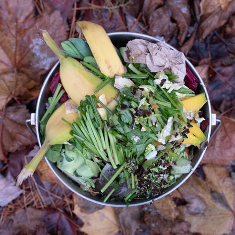 A grid of nine tin buckets of compost.