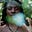 Nichole's avatar