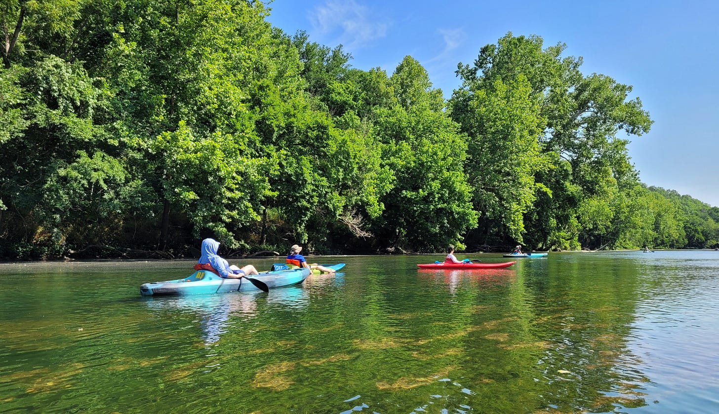 Kayaking on the Niangua River in Missouri
