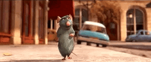 A gif of the rat from Ratatouille