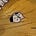 Andrew Pham's avatar
