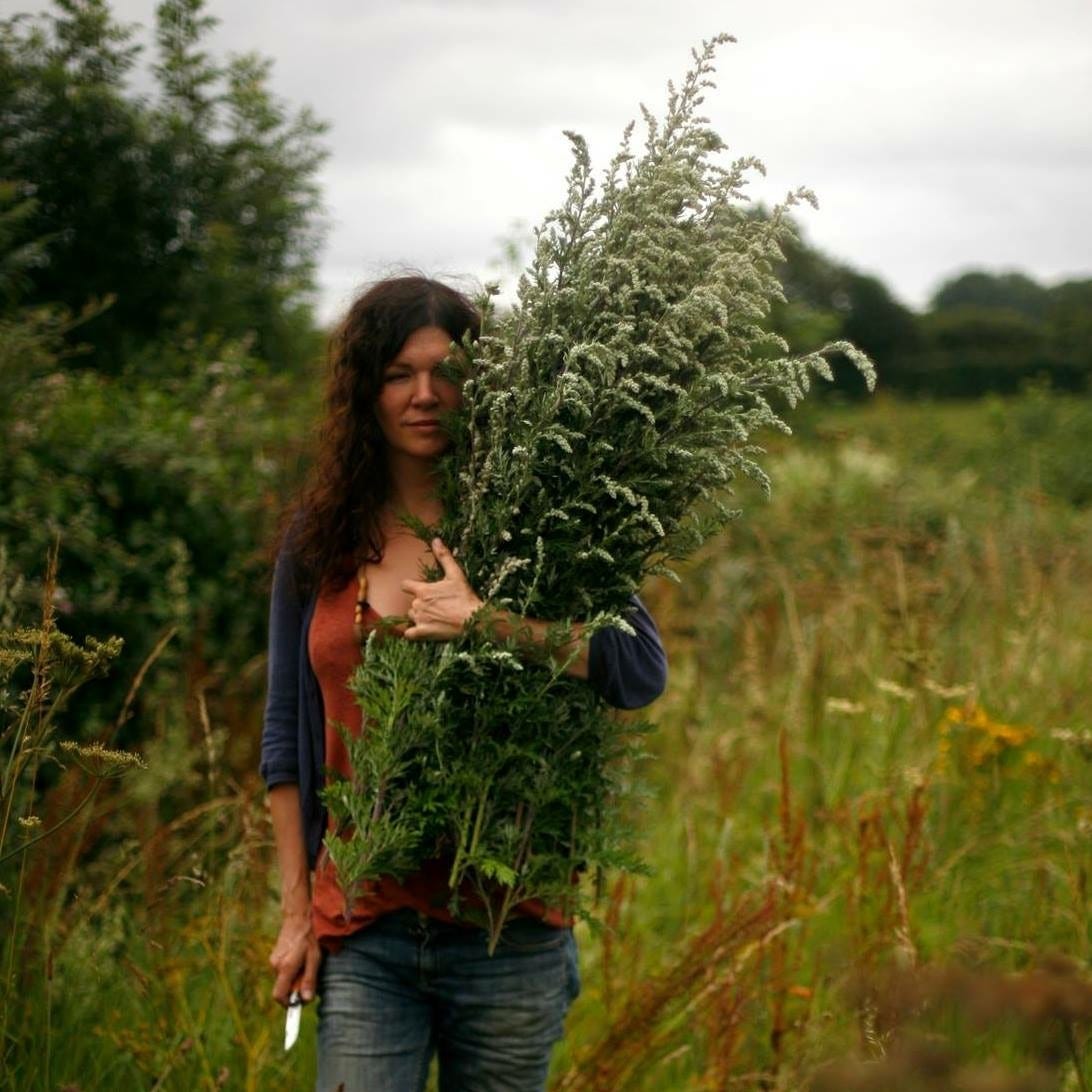 Into the Woods with Brigit Anna McNeill