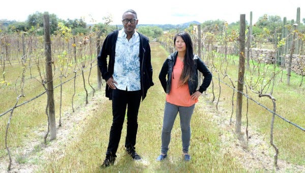 top chef boston finalists 2015 top chef boston finalists 2015