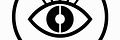 Sovereign Insight Strategies 