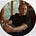 Mike Madrid's avatar