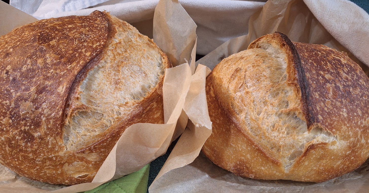 A batch of fresh sourdough boules cooling, baked for the Runamuk farmstand.