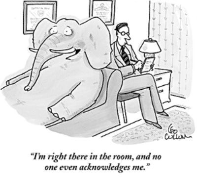 https://www.socialwork.career/wp-content/uploads/2014/03/elephantintheroom-leo_cullum.jpg