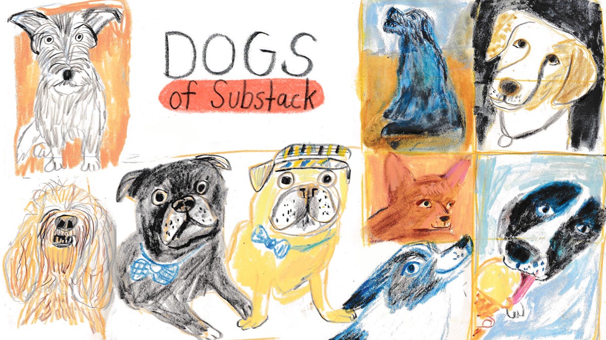 dog illustrations by Beth Spencer