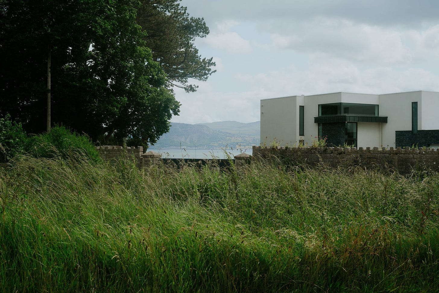 Tall grass sits in front of an old styled wall. Behind a big tree overshadows a modern home made from white boxes. Mountains are in the distance.