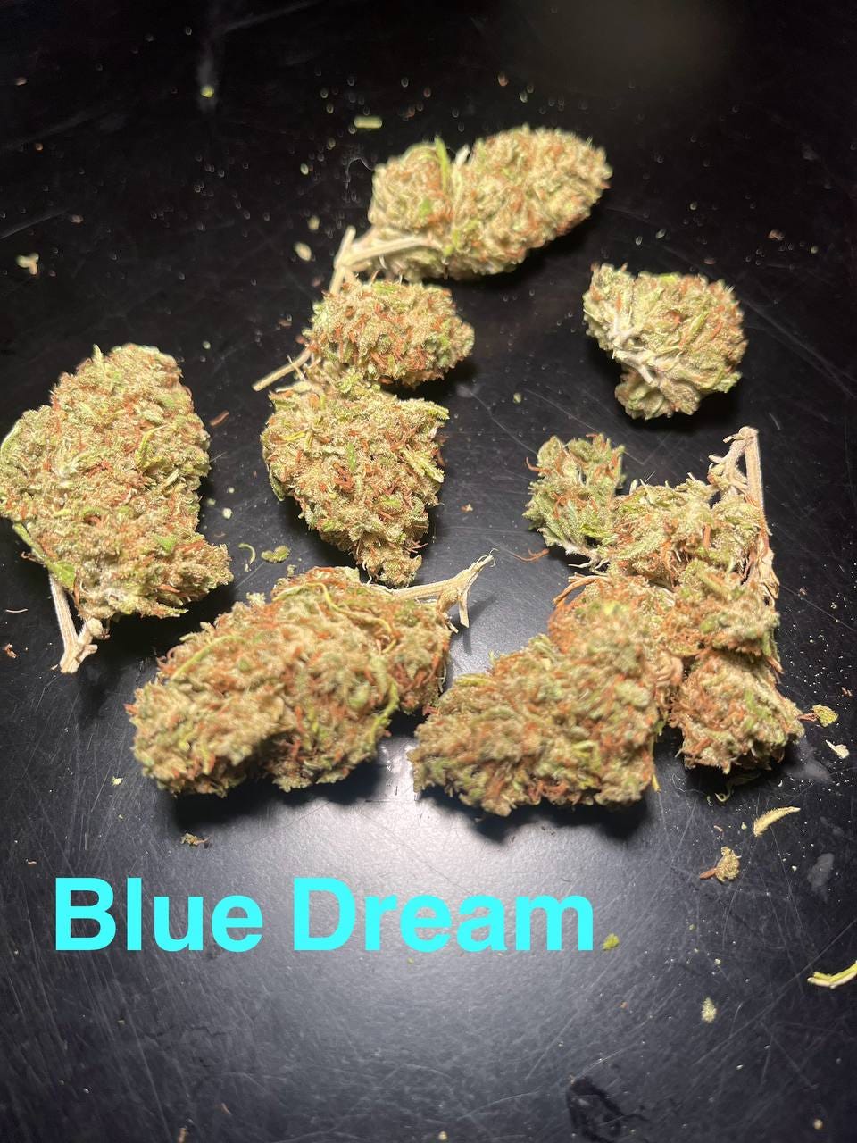 Blue Dream Premium Cannabis Flower/Buds, THC- 21%