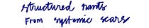 structured rants from systemic scars