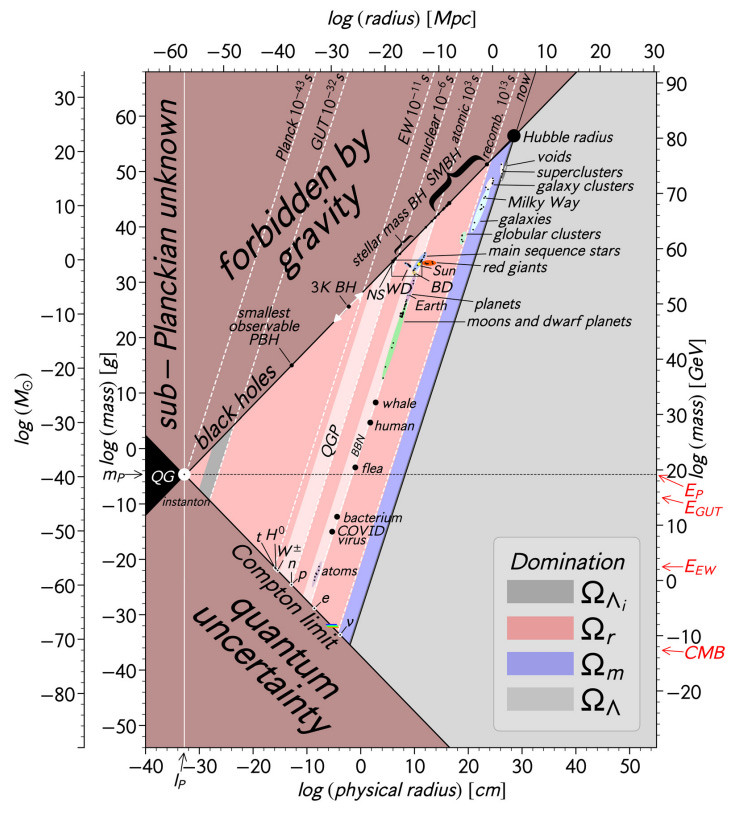 Plot of objects with different mass and radius, going from subatomic particles up through living things up through stars and black holes.