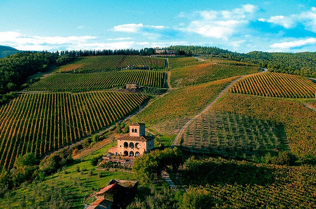 Chianti Classico: Living on the edge - Decanter