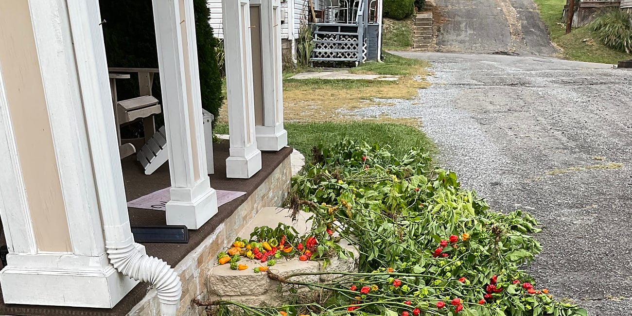 Update 27 - Harvest Time! - 92524