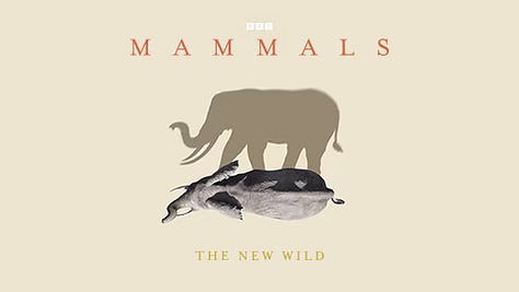 Mammals series: BBC Studios