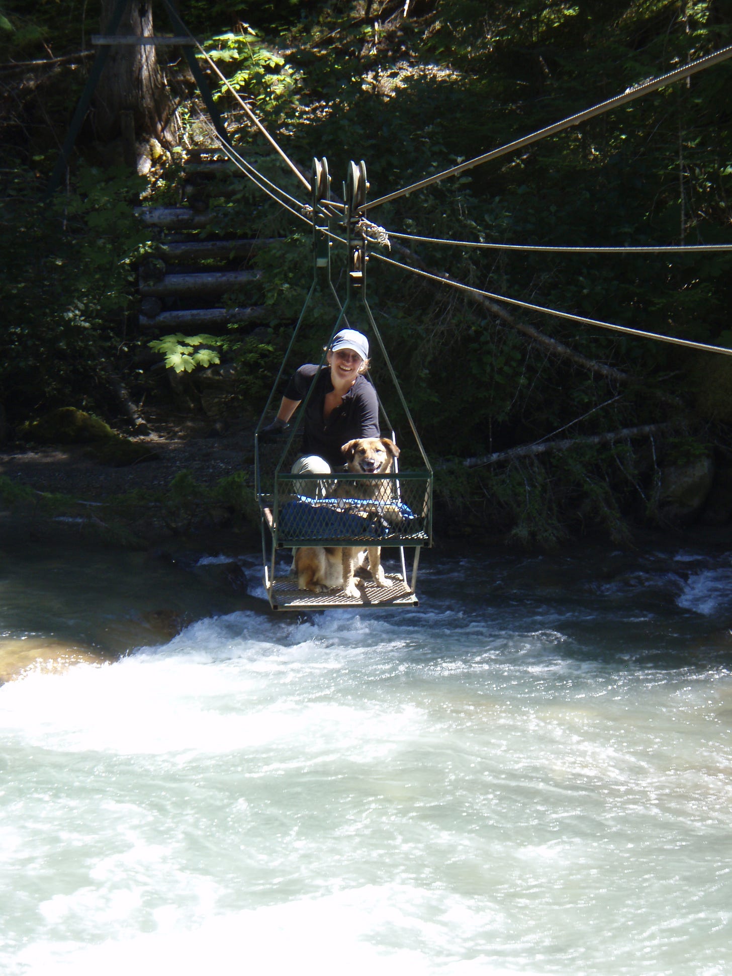 A woman and a dog sit in a cable car over a rushing creek with whitewater below and trees behind.
