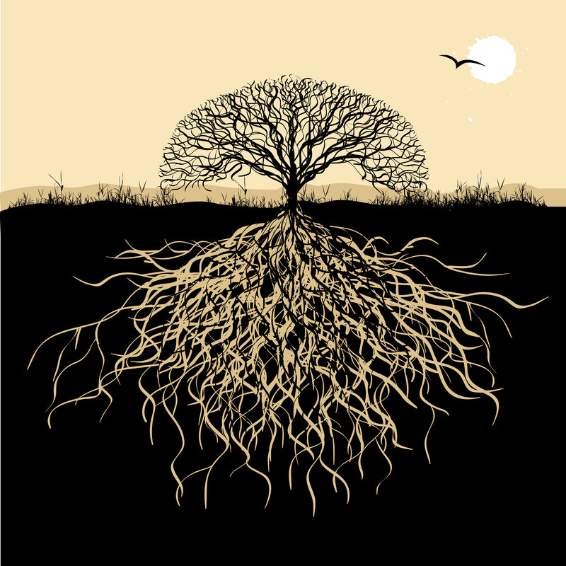 Deeper Roots~ Honor Our Ancestors~ Daylong Ceremonial Circle » Sacred Waves  Of Rhythm