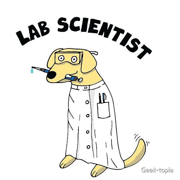 Funny Labrador dog is a lab scientist! he comes to help you with all your  experiments. The prefect gift for dog loving sci… | Scientist, Labrador  funny, Fun science