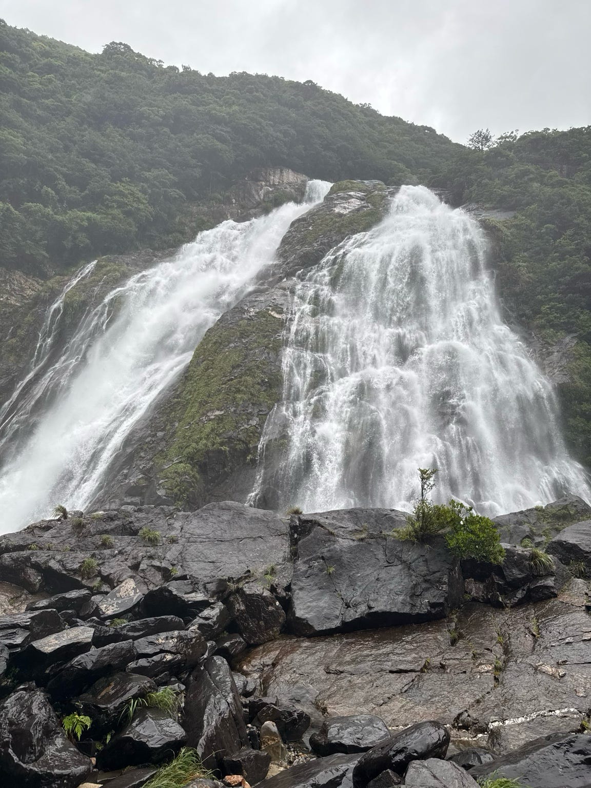 大川の滝の大きさは圧巻でした。 大川の滝の大きさは圧巻でした。