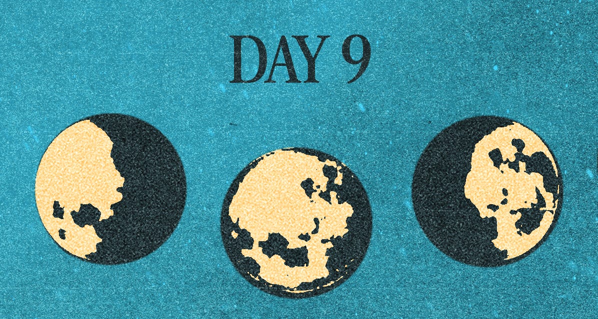 Today's Assignment: Do Nothing