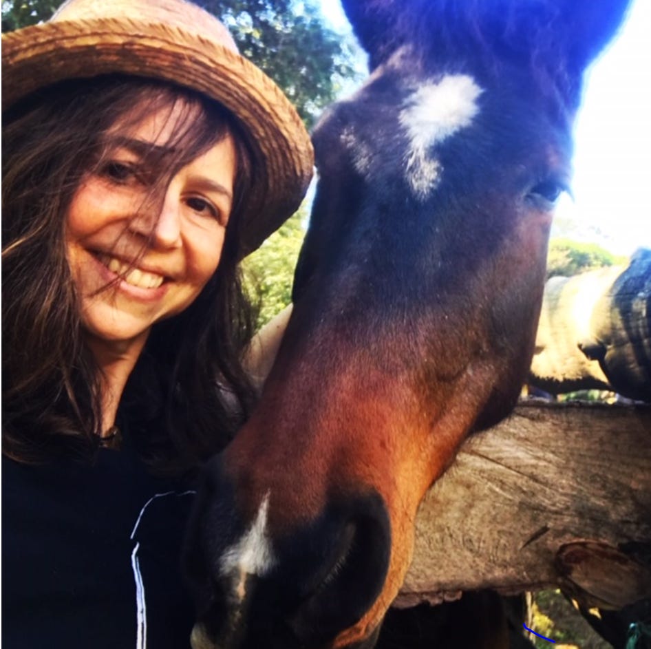 The Ambivalent Part-Time Expat 