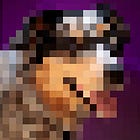 See it with your lying ears