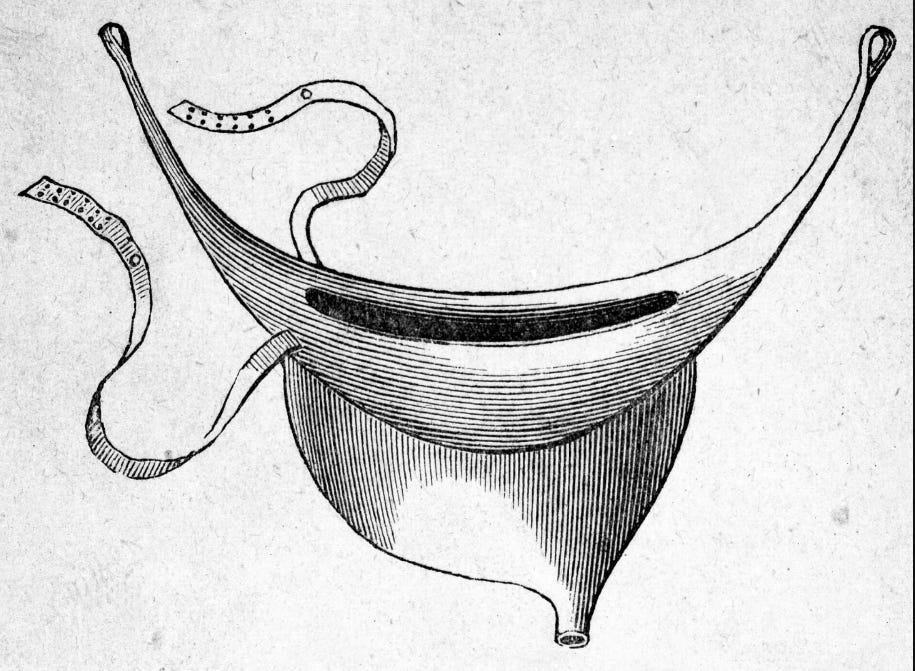 A drawing of a boat-shaped bag with various straps.