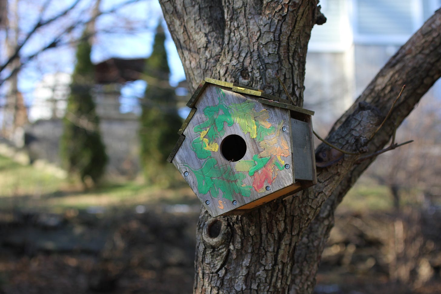 Hand-painted wooden birdhouse with colorful leaf patterns hanging on a tree trunk in a backyard garden.